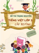 Bộ đề thi trạng nguyên Tiếng Việt Lớp 3 cấp trường (Có đáp án)
